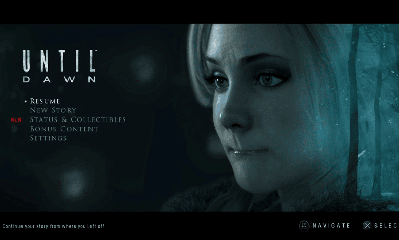 Until Dawn